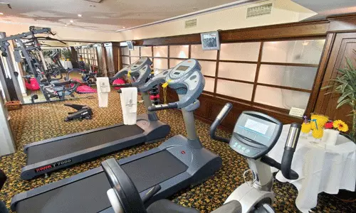 هتل گرمیر پالاس استانبول